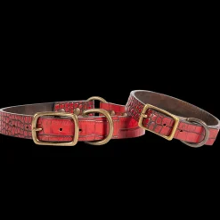 Fashion Dog Collar Womens Small Leather Goods