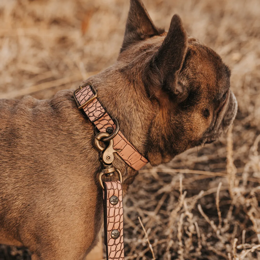 Best Dog Collar Womens Small Leather Goods