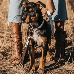 Online Dog Leash Womens Small Leather Goods