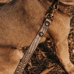 Fashion Dog Leash Womens Small Leather Goods