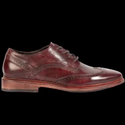 Best Kensington Mens Dress